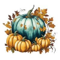 graphics large beautiful pumpkin decoration for thanksgiving or halloween photo