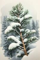 green fir branch covered with snow winter graphics photo