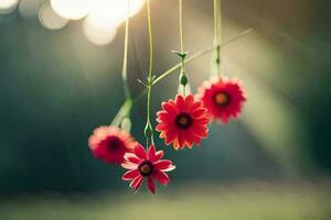 red flowers hanging from a string in the sun. AI-Generated photo