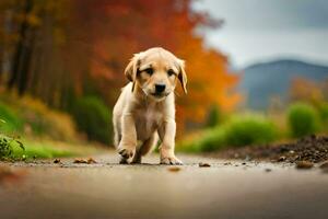 a puppy walking on a road in the fall. AI-Generated photo