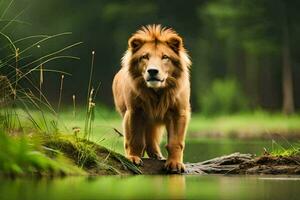 a lion standing on a log in the middle of a river. AI-Generated photo