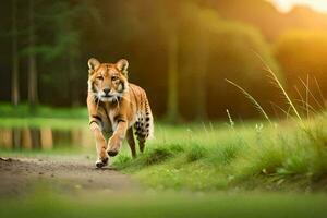a tiger walking along a path in the woods. AI-Generated photo