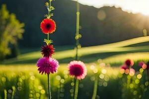 flowers in a field at sunset. AI-Generated photo