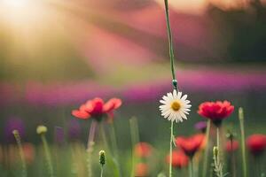 a single flower is in the middle of a field. AI-Generated photo