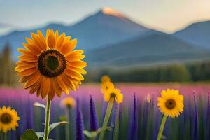 sunflower in the field with mountains in the background. AI-Generated photo
