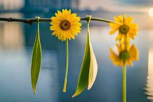 sunflowers hanging from a branch over water. AI-Generated photo