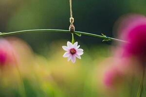 a single flower hanging from a string in a field. AI-Generated photo