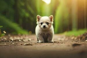 a small white puppy is standing on a dirt road. AI-Generated photo