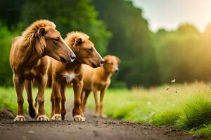 Tres caballos caminando abajo un suciedad la carretera. generado por ai foto