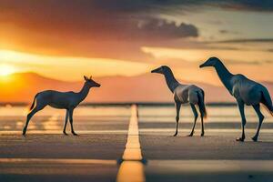 Tres gacelas estar en el playa a puesta de sol. generado por ai foto