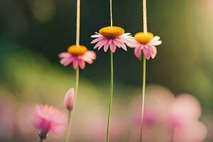 pink flowers hanging from strings in a field. AI-Generated photo