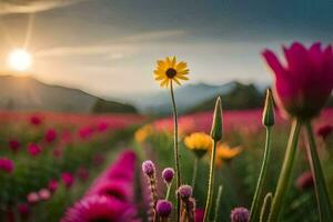 un campo de flores con el Dom ajuste detrás él. generado por ai foto