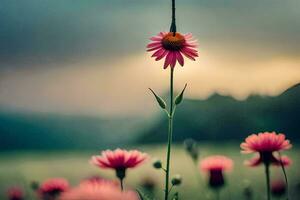 rosado flores en un campo con un puesta de sol en el antecedentes. generado por ai foto