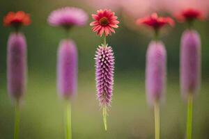 a group of purple flowers are standing in the middle of a field. AI-Generated photo