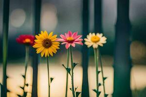 four colorful flowers are standing in front of a fence. AI-Generated photo