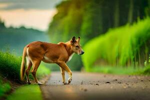 a dog walking on a road in the middle of a field. AI-Generated photo