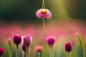 a flower is hanging from a necklace in a field. AI-Generated photo