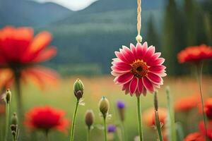 a red flower is in the middle of a field. AI-Generated photo