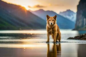 un perro en pie en el agua a puesta de sol. generado por ai foto