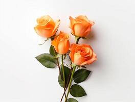 Beautiful rose flowers on flat background, top view. Space for text photo