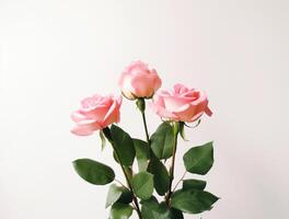 Beautiful rose flowers on flat background, top view. Space for text photo