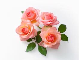 Beautiful rose flowers on flat background, top view. Space for text photo