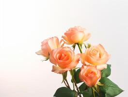 Beautiful rose flowers on flat background, top view. Space for text photo
