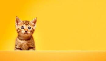 linda y juguetón adorable gato foto con Copiar espacio ai generado