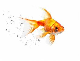 cerca arriba foto de un pez de colores con Copiar espacio, dorado belleza ai generado