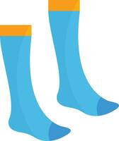 Socks Vector Icon