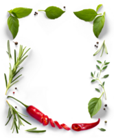culinaire cadre, frontière png nourriture conception élément. rouge chaud Chili poivre, épices et herbes avec réel transparent ombre sur transparent Contexte. variété de épices et méditerranéen herbes.