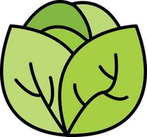 Cabbage Vector Icon