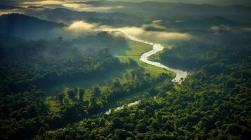 Aerial view of Beautiful green amazon forest landscape in the morning. Nature background. Generetive Ai photo