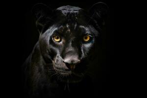 Portrait of Panther on black background. Generative Ai photo
