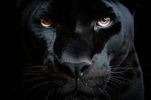 Portrait of Panther on black background. Generative Ai photo