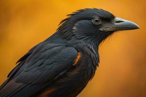 Close up portrait of a black raven, Corvus corax. ai generative photo