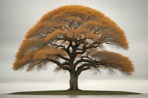 fantasía silueta de un árbol en el desierto. ai generativo foto