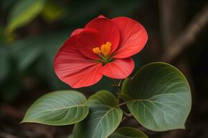 Close up of a blooming colorful flowers in springtime. Close-up. ai generative photo