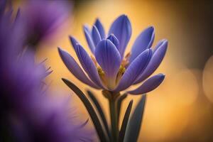 Beautiful spring crocus flowers in the garden. Floral background. ai generative photo