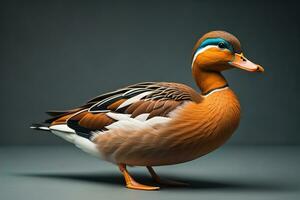 Beautiful duck on a solid color background. ai generative photo