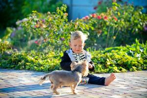 pequeño chico se sienta en un esqueleto traje siguiente a un perro. Víspera de Todos los Santos día festivo. foto