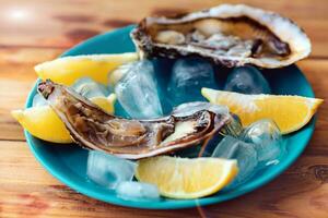 Close-up of fresh open raw oysters on a blue plate, with lemon and ice. Healthy seafood. View from above. Seafood. Gourmet food. photo