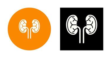 Kidney Vector Icon