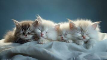 peacefully sleeping baby cat, cozy cute kitten napping, AI Generative photo