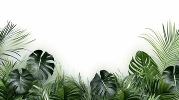 Tropical frame with green palm leaves Design on background, Copy space, Summer background, AI Generative photo