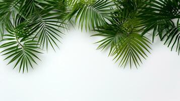Tropical frame with green palm leaves Design on background, Copy space, Summer background, AI Generative photo