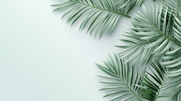 tropical marco con verde palma hojas diseño en fondo, Copiar espacio, verano fondo, ai generativo foto
