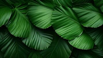 Tropical green palm leaves Design on background, Summer background, AI Generative photo
