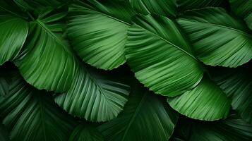 Tropical green palm leaves Design on background, Summer background, AI Generative photo