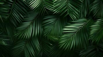 Tropical green palm leaves Design on background, Summer background, AI Generative photo